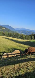 Foto van Ingrid H langs de tour
