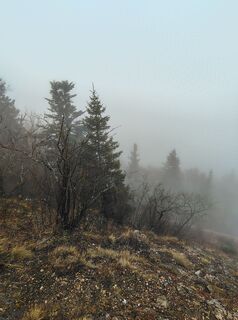 Zdjęcie z Aldin Burnic wzdłuż trasy