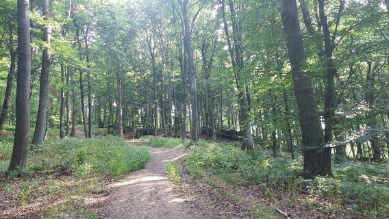 Foto fra Stefan Königsdorfer undervejs på turen