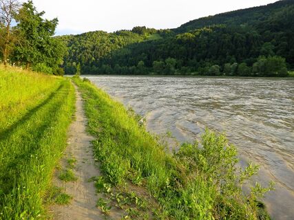Donau bei Niederranna