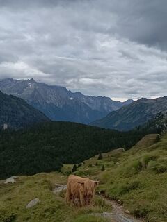 Foto von Aner entlang der Tour