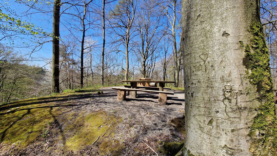 Grillplatz bei Waldprechtsweier