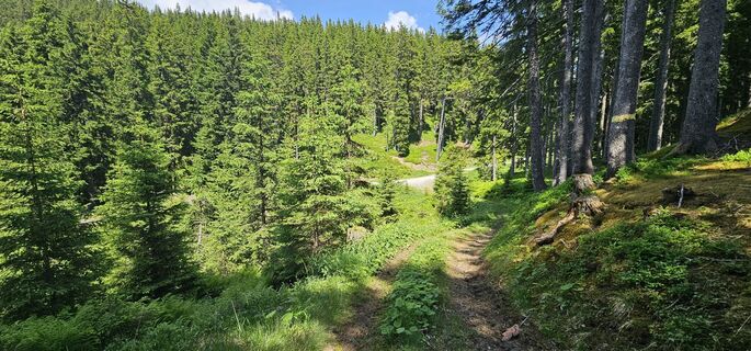 Photo de Michael Ganswind le long du parcours