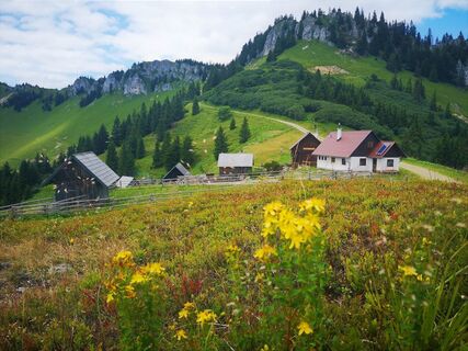 Auf der Kleinveitschalm