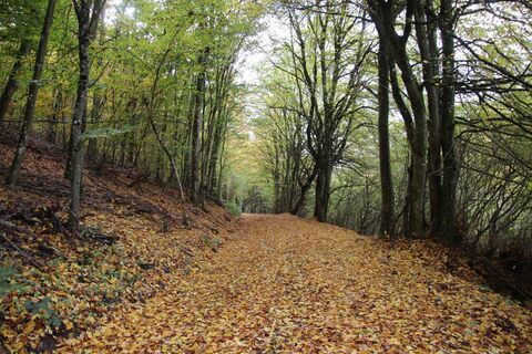 Zdjęcie z Günter Kleutsch wzdłuż trasy