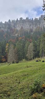 Foto von Zèé entlang der Tour
