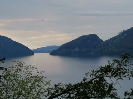 Fotografija s spletne strani luyyy na poti