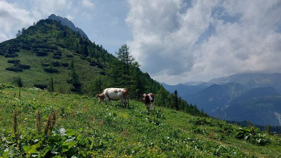 Fotografija s spletne strani Thomas Weber na poti