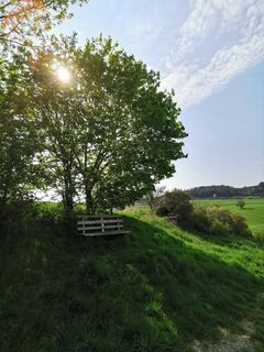 Bank bei Tannroda