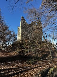 Photo from Wolfgang Gschmeidler along the tour