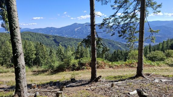 Fotografija s spletne strani Ewald Rapp na poti