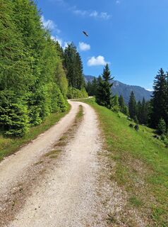 Fotografija s spletne strani Dagmar Hofer na poti
