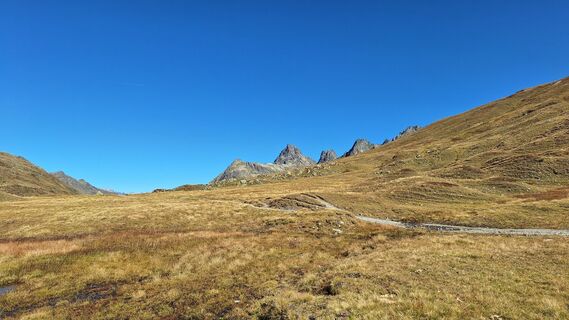 Fotografija s spletne strani Veronica Thoeni na poti