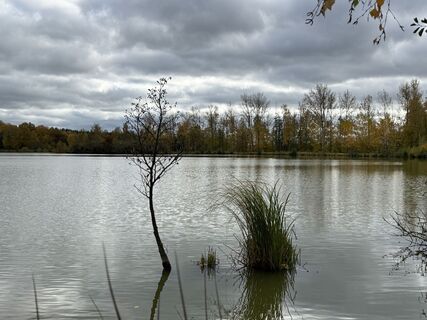 Foto de Norbert Herbig a lo largo del recorrido