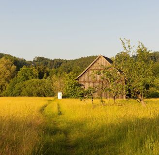 Wiesenweg im Günztal ei Ottobeuren