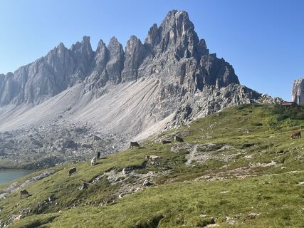 Photo de Iztok Sink le long du parcours
