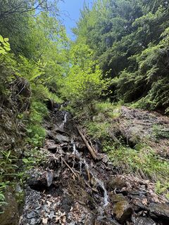 Photo de Moonytiger le long du parcours