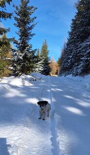 Foto da Dagmar Hofer lungo il tour