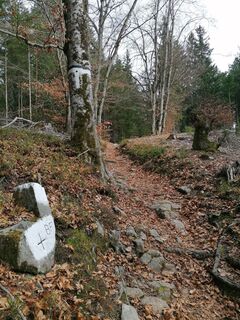 Foto von Dagmar Hofer entlang der Tour