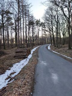 Fotografija s spletne strani Péter Szabó na poti