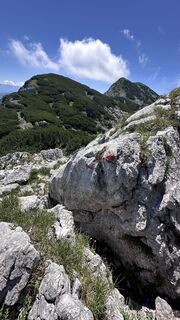 Fotografie z Mountain Cat ? ⛰️ na trase