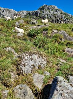 Photo de Andreas Mohr le long du parcours