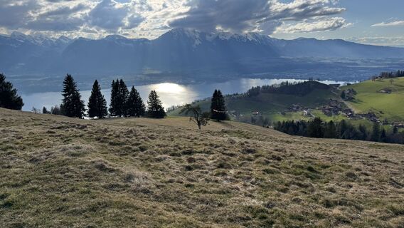 Foto de peter_oe a lo largo del recorrido