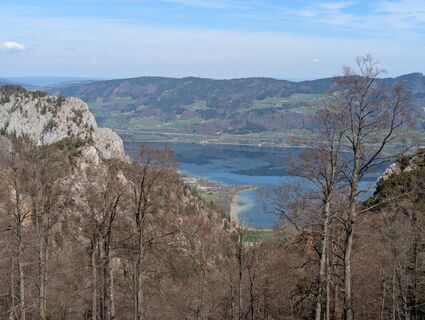 Fotografia z Hiking Hermit na trase