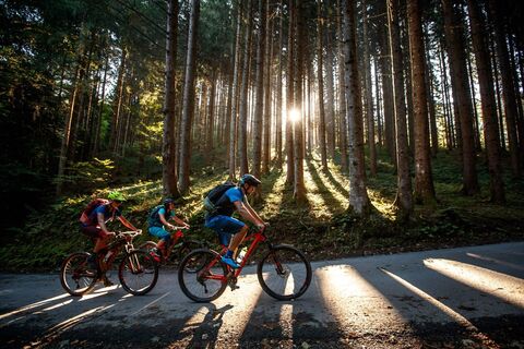 Waldstrecke in Sonne_Radfahren Kitzbüheler Alpen_Erwin Haiden 125239_136226.jpg
