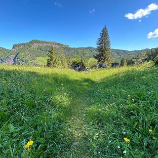 Aufstieg zum Risipass