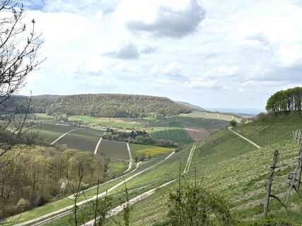 Foto von Norbert Herbig entlang der Tour