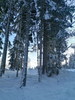 Foto de Dagmar Hofer a lo largo del recorrido