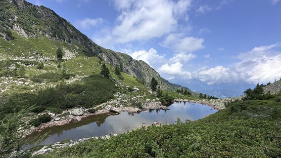 Foto von Mountain Cat ? ⛰️ entlang der Tour