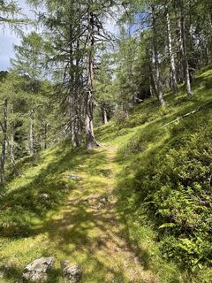 Fotografia z Benediktus_prim na trase