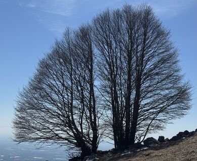 Zdjęcie z “Jerry” Brunetti wzdłuż trasy
