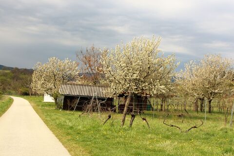 Kogelradweg B30