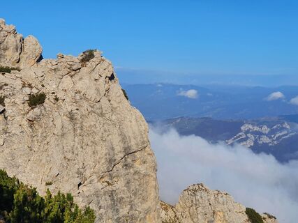 Fotografija s spletne strani Grit Georgi na poti