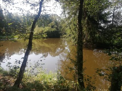 Fischersteig
