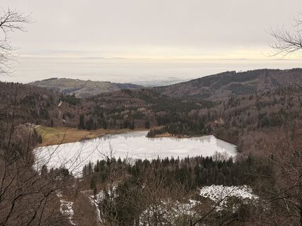 Fotografija s spletne strani Natur_erleben_dg na poti