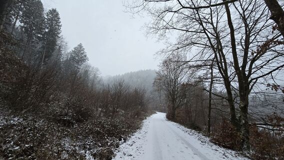 Foto de Katja Senkel a lo largo del recorrido