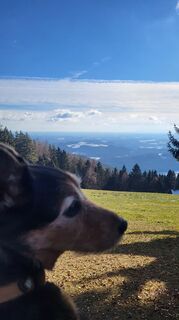 Foto de Marko a lo largo del recorrido