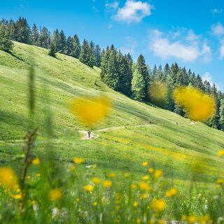 Unterwegs am Schliersberg