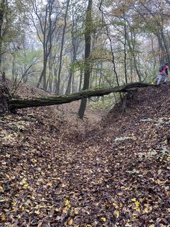 Photo de Andonisz Haronisz le long du parcours