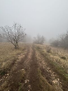 Foto de Róbert Mészáros a lo largo del recorrido