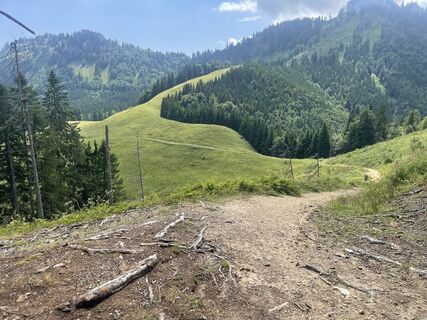 Fotografija s spletne strani Michael Trauner na poti