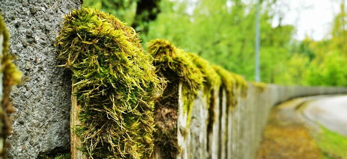 Photo de Klaus Lehner le long du parcours