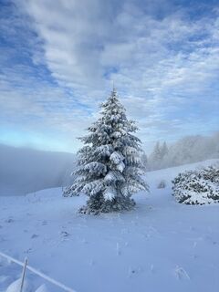 Fotografia z Dani Geiger / Natur_erleben_dg na trase