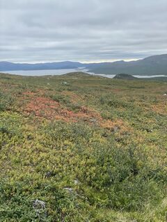 Fotografija s spletne strani Nikolaus Ludwig 1 na poti