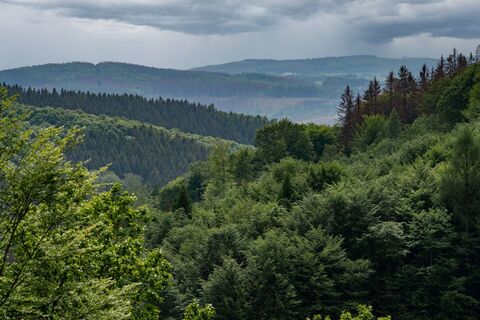 Pulvermühlenweg Sieg