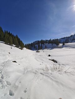 Foto från Sandiii d under resans gång